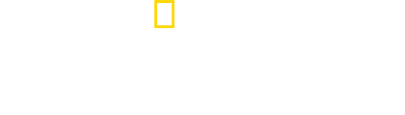 ラスト・アイス