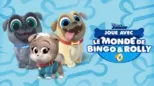 thumbnail - Joue avec Bingo et Rolly (Courts-Métrages)