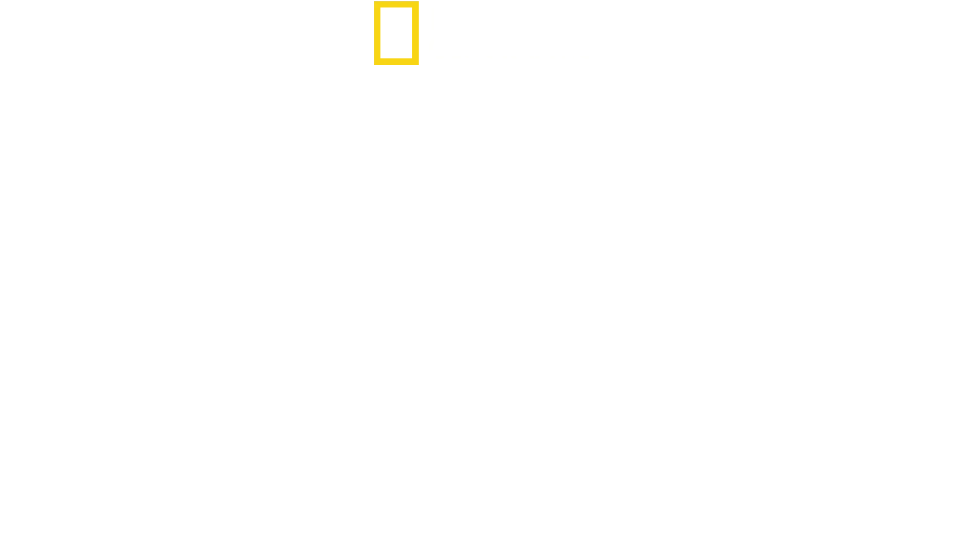 Kinas dolda massgrav