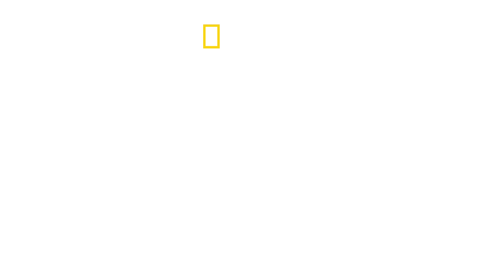 Pahamaineisimmat hait