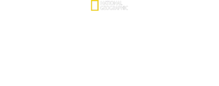 Vilde dyr i voksealderen