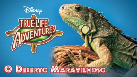 thumbnail - O Deserto Maravilhoso