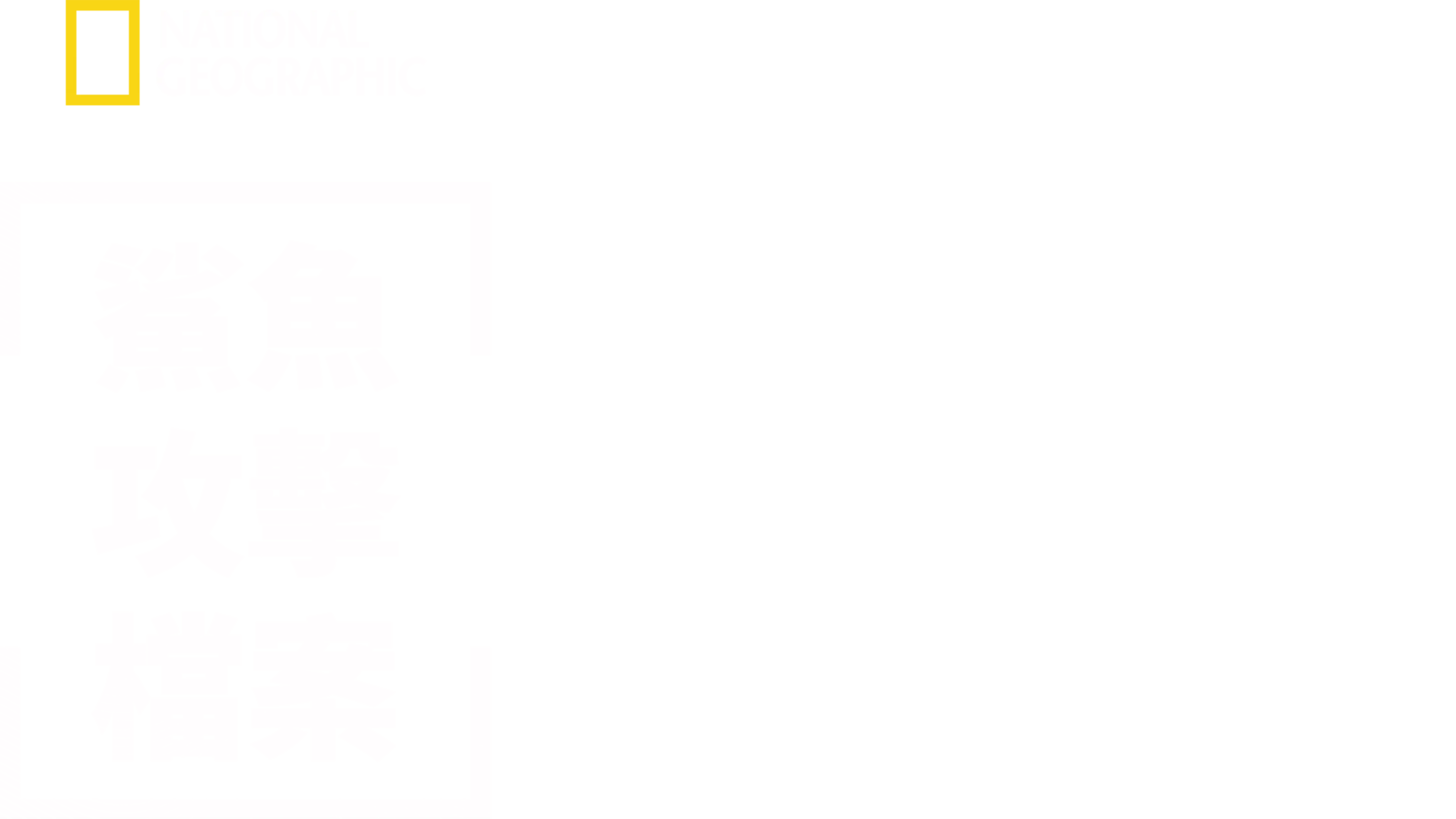 鯊魚攻擊檔案