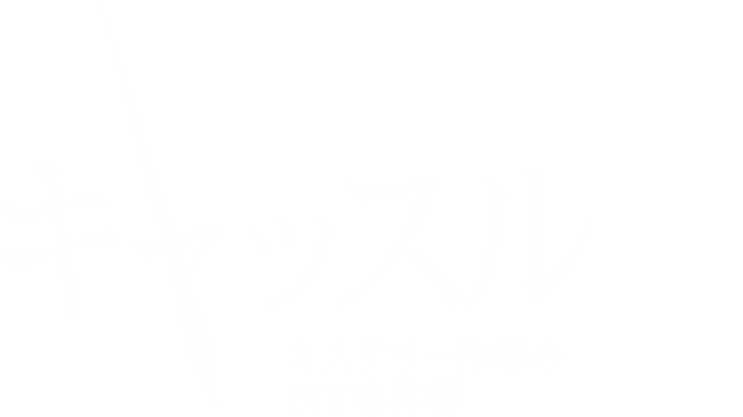 キャッスル／ミステリー作家のNY事件簿
