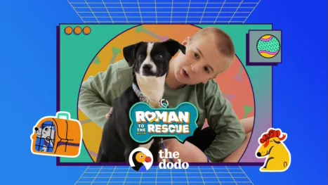 thumbnail - Roman to the Rescue