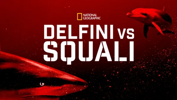 thumbnail - Delfini Vs Squali