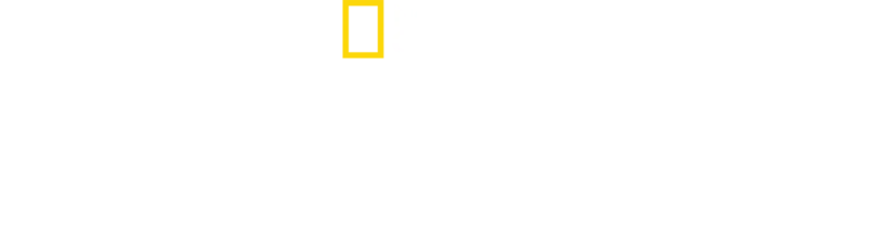 草原犬鼠大宅門