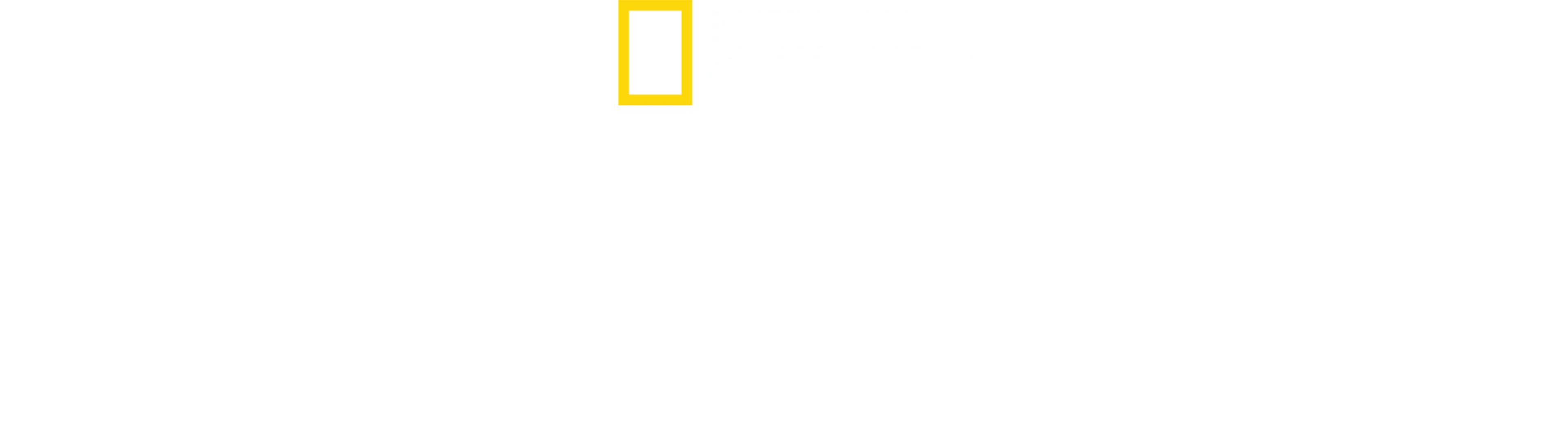草原犬鼠大宅門