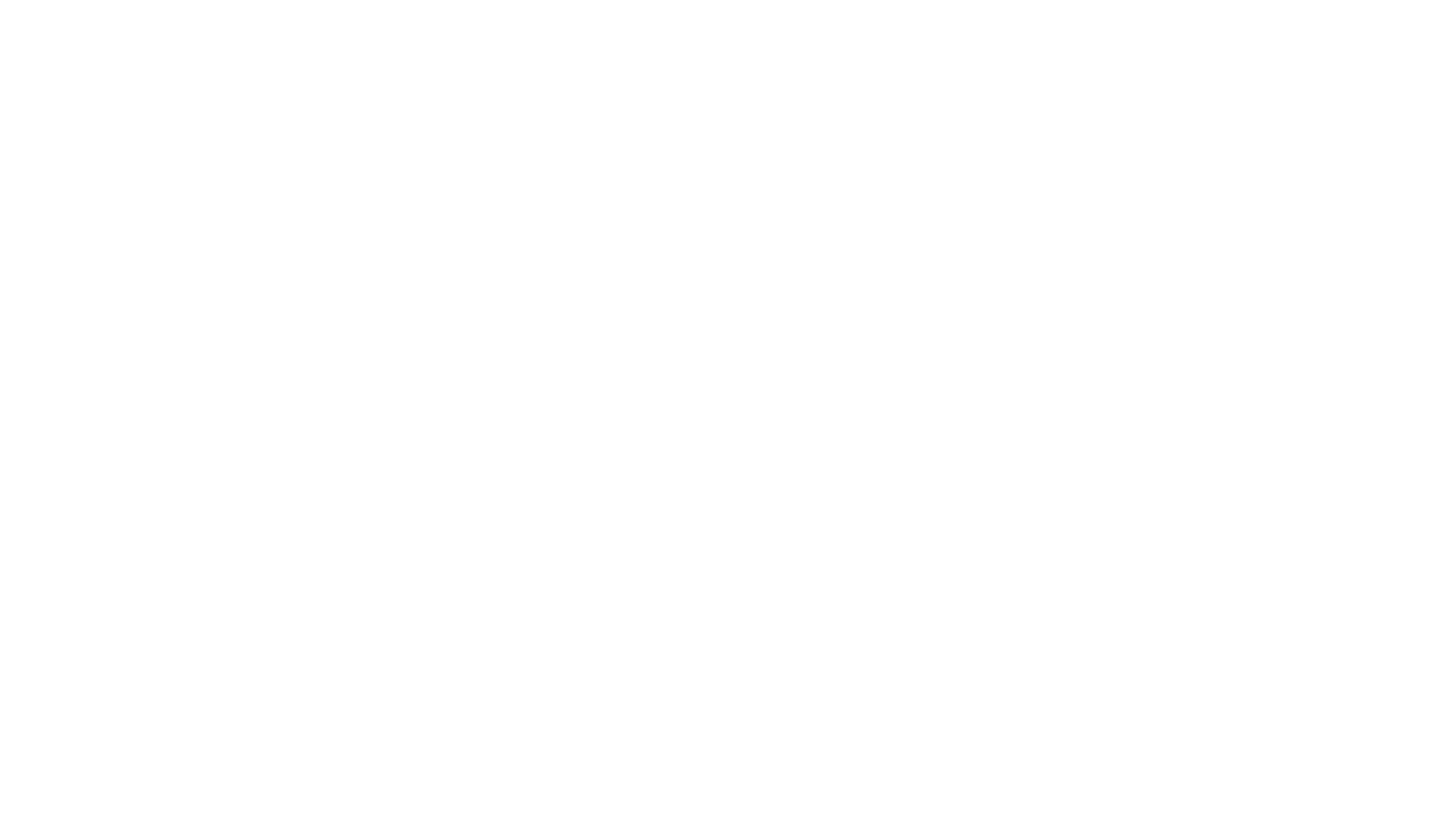 特務家族