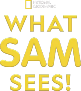 What Sam Sees