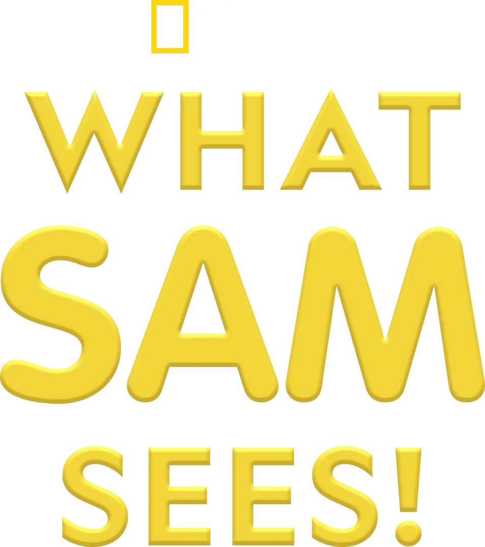 What Sam Sees