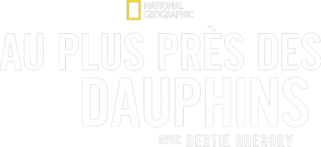 Au plus près des dauphins avec Bertie Gregory