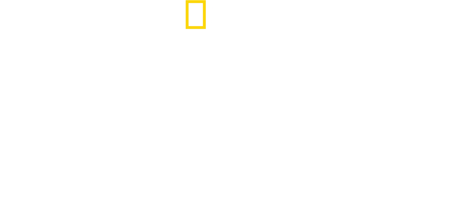 Au plus près des dauphins avec Bertie Gregory