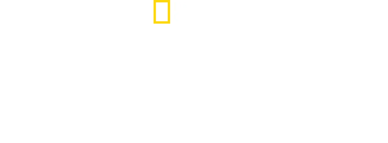 Albert Lin ile Kayıp Şehirler Ortaya Çıkıyor