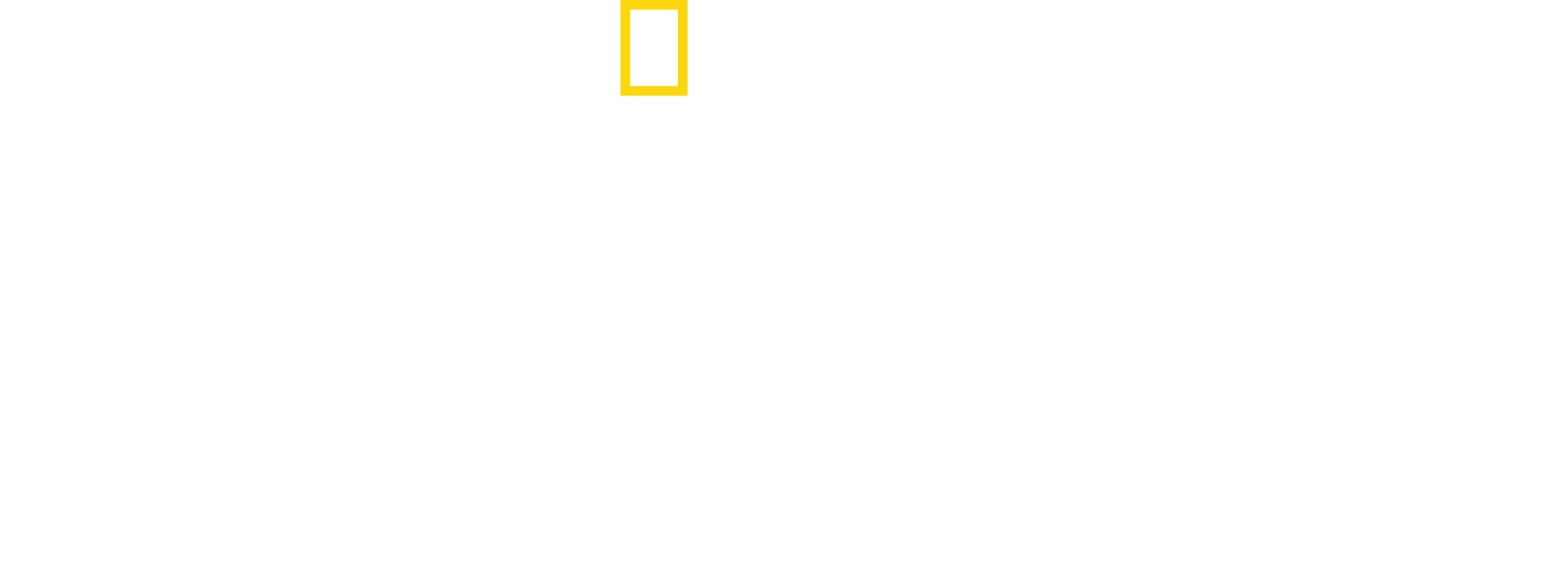 Albert Lin ile Kayıp Şehirler Ortaya Çıkıyor