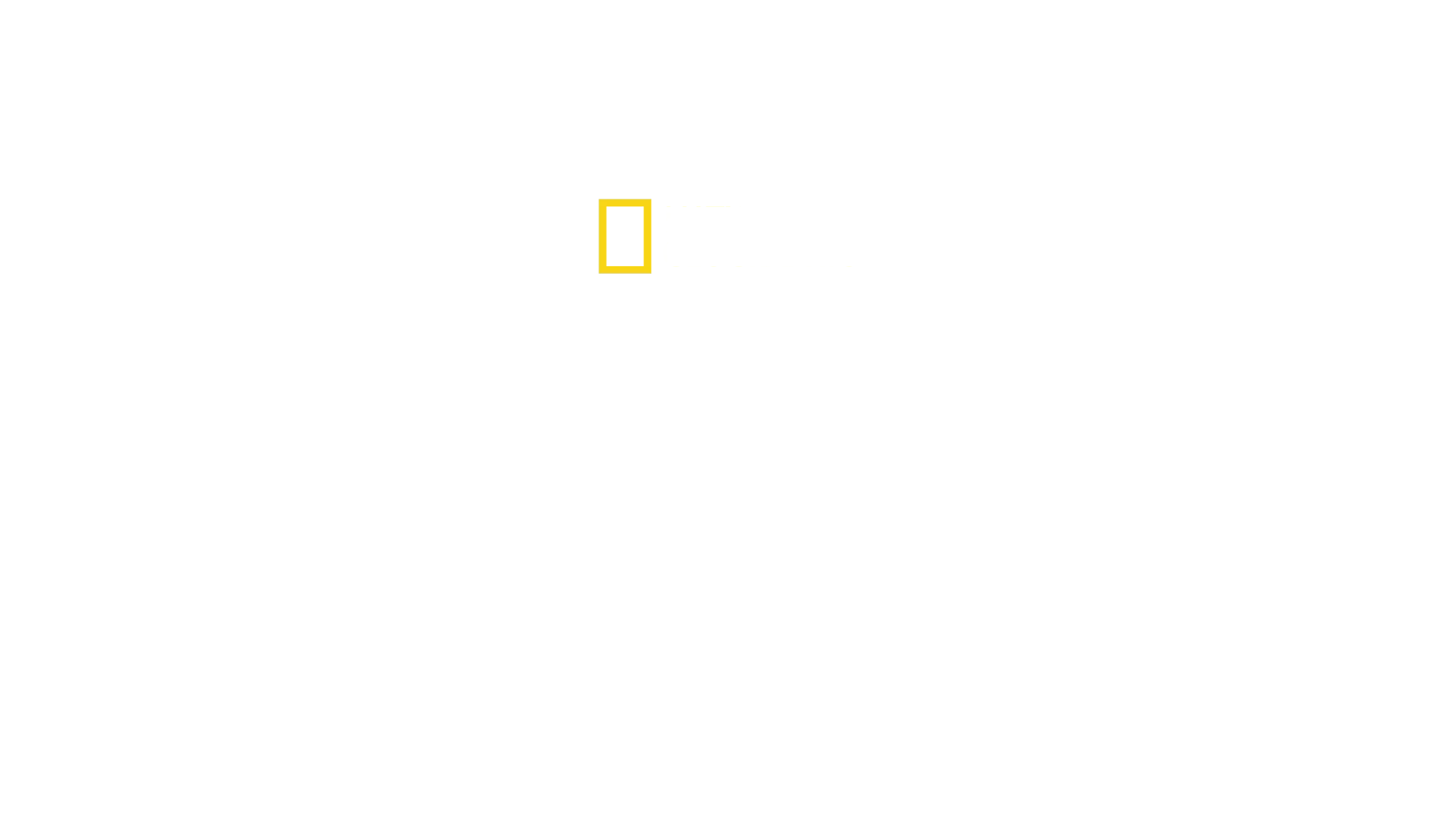 Savaşın Kalbinde