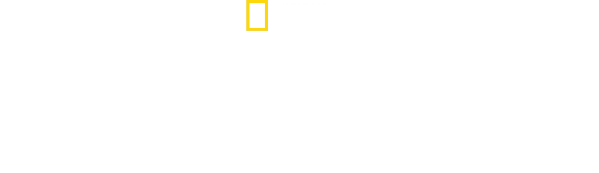 Savaşın Kalbinde