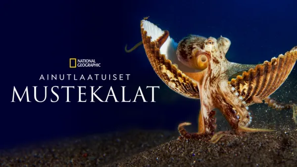thumbnail - Ainutlaatuiset mustekalat