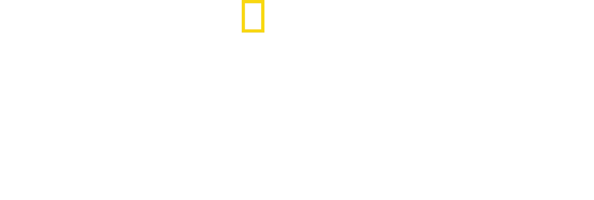 Inside Airport Lost & Found