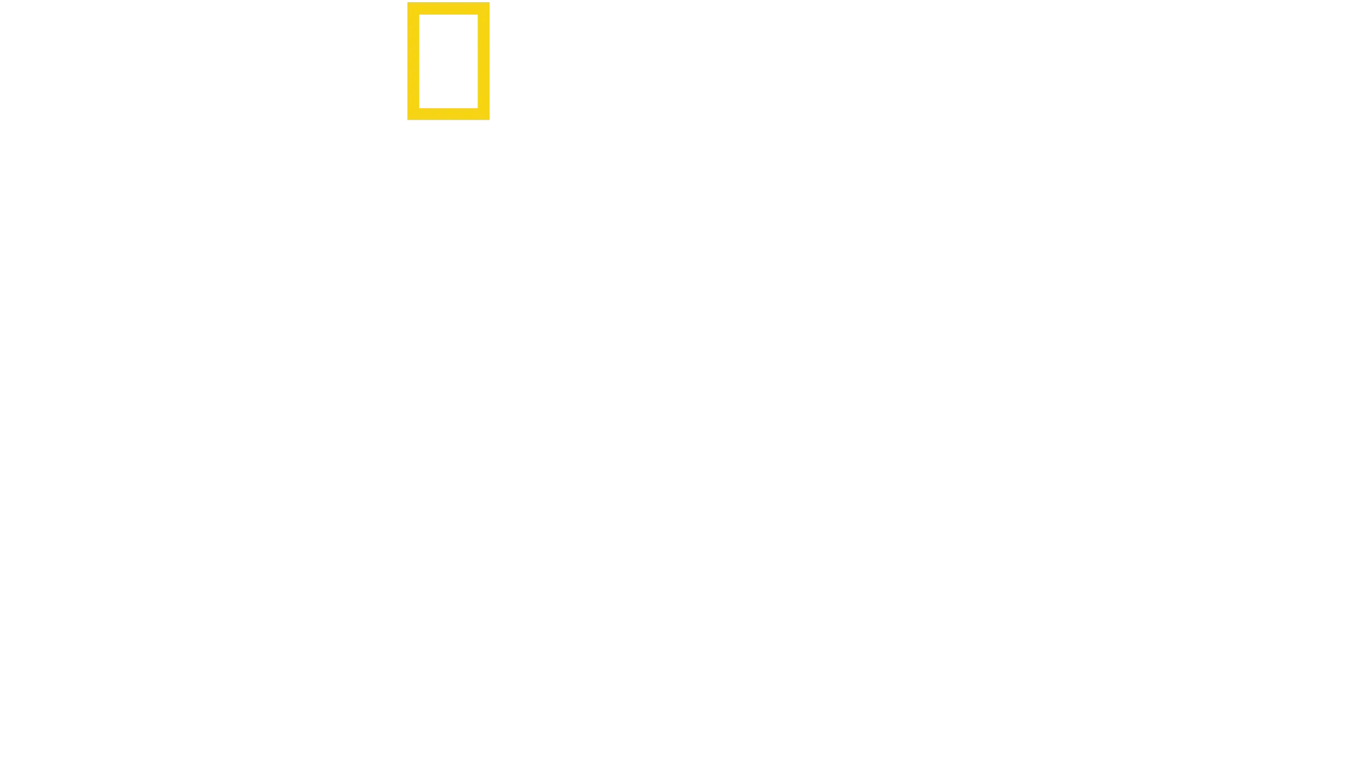 Reyes de la Pradera