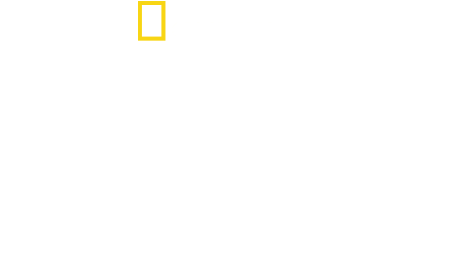 Reyes de la Pradera
