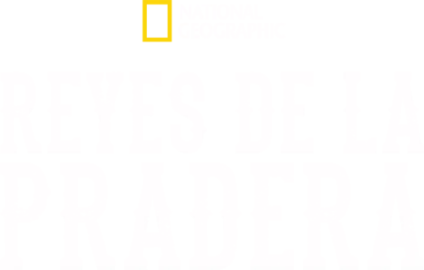 Reyes de la Pradera