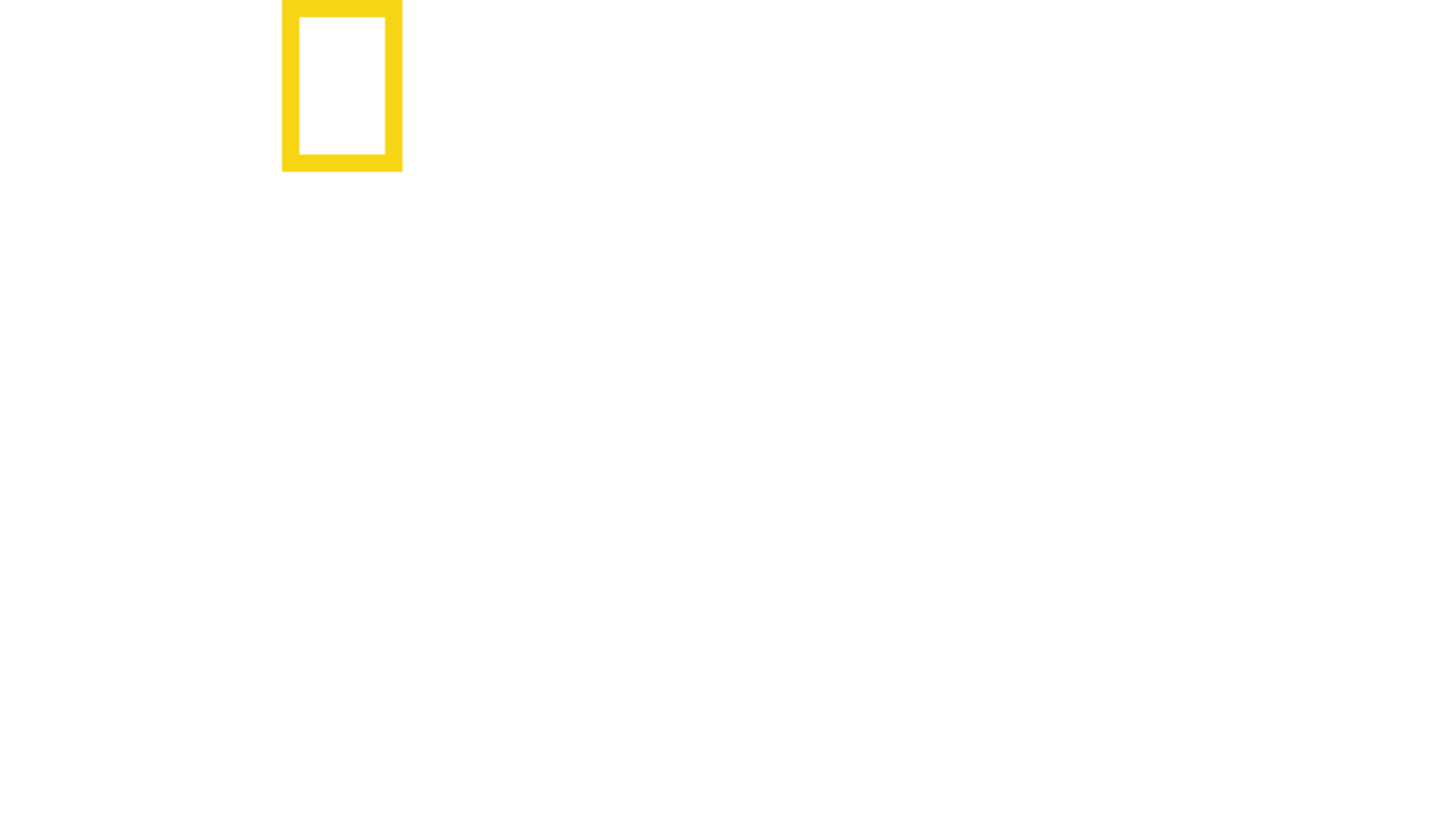 ジェンダー革命