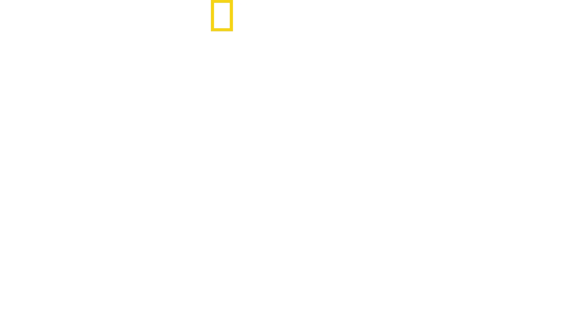 Inside Incredible Machines