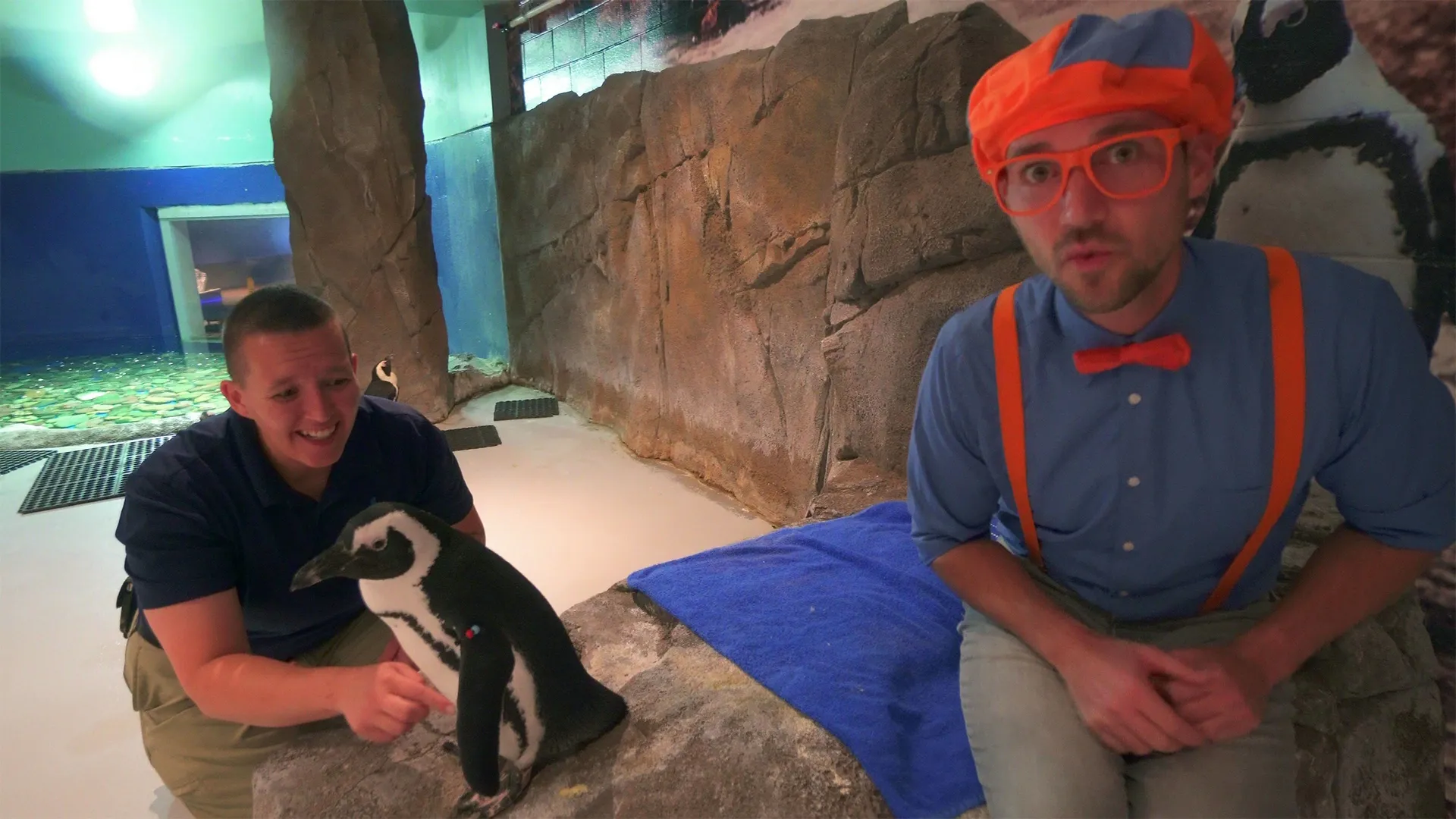 thumbnail - S1:E2 Blippi Visits the Aquarium