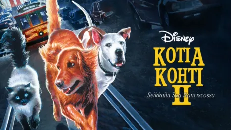 thumbnail - Kotia kohti II - Seikkailu San Franciscossa