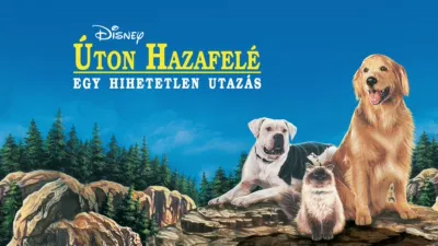 Úton Hazafelé - Egy hihetetlen utazás