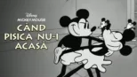 thumbnail - Când pisica nu-i acasă