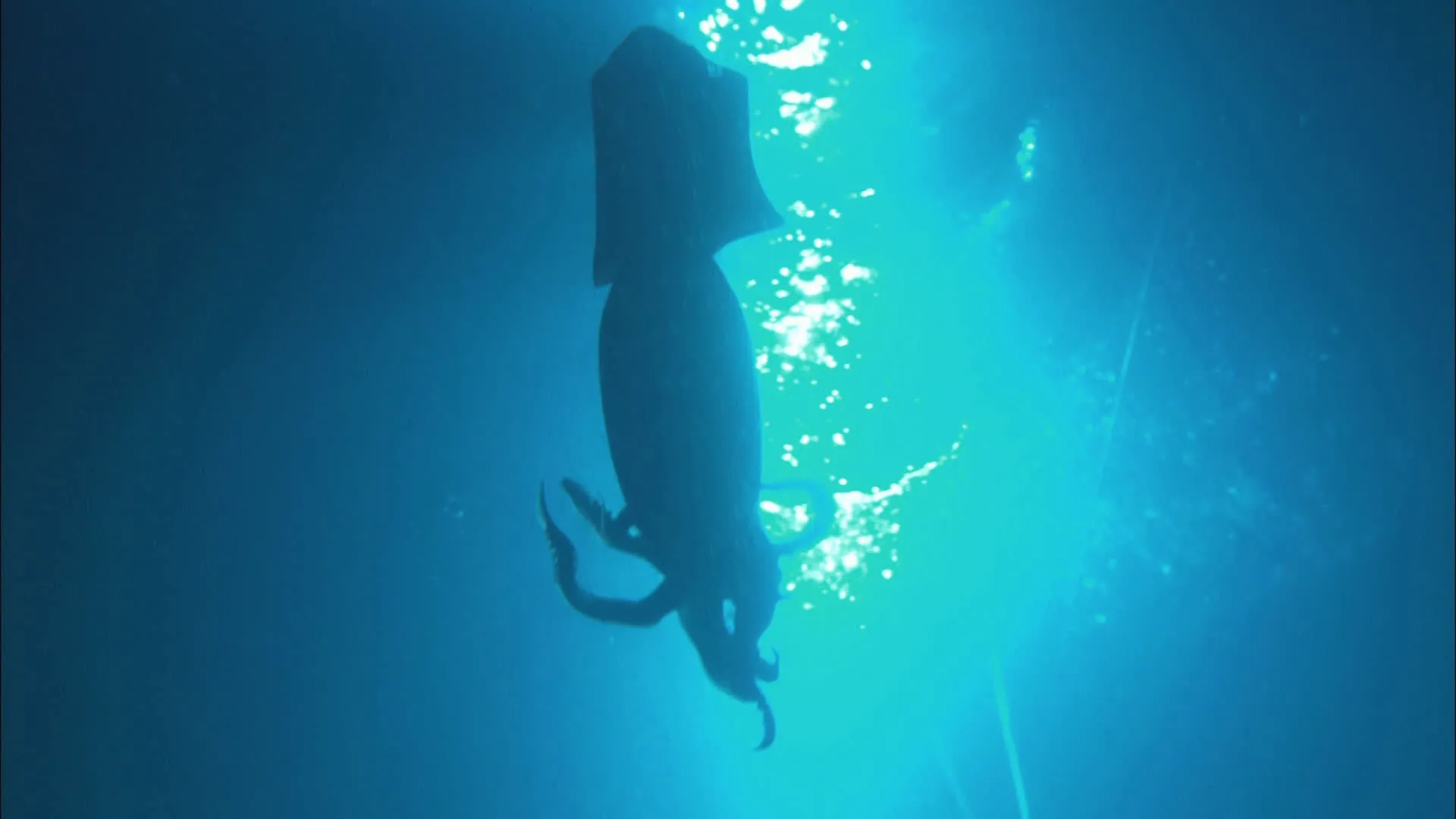 thumbnail - S1:E1 MonsterQuest: Predators of the Deep