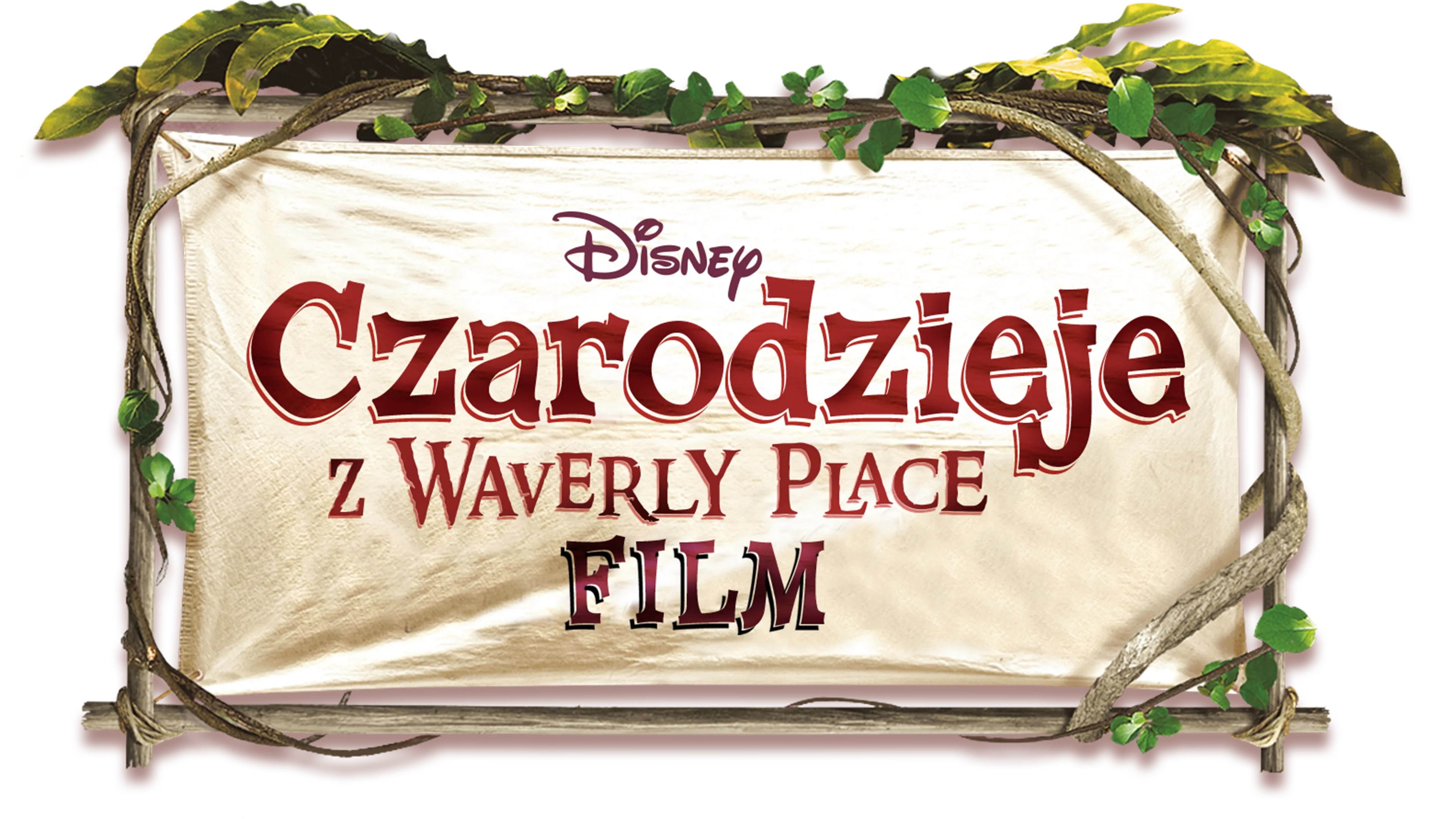 Czarodzieje z Waverly Place: Film