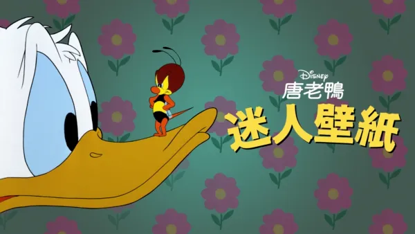 thumbnail - 迷人壁紙