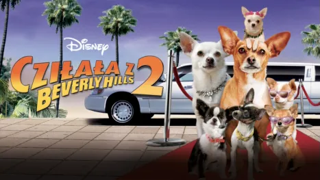 thumbnail - Cziłała z Beverly Hills 2