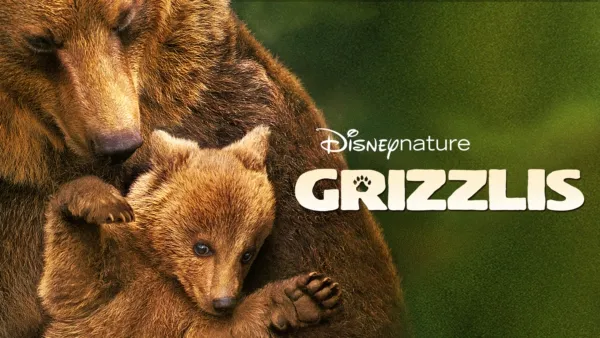 thumbnail - Grizzlis