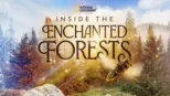 thumbnail - Inside the Enchanted Forests