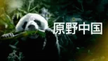 thumbnail - 原野中国