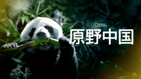 thumbnail - 原野中国