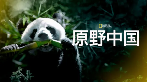 thumbnail - 原野中国