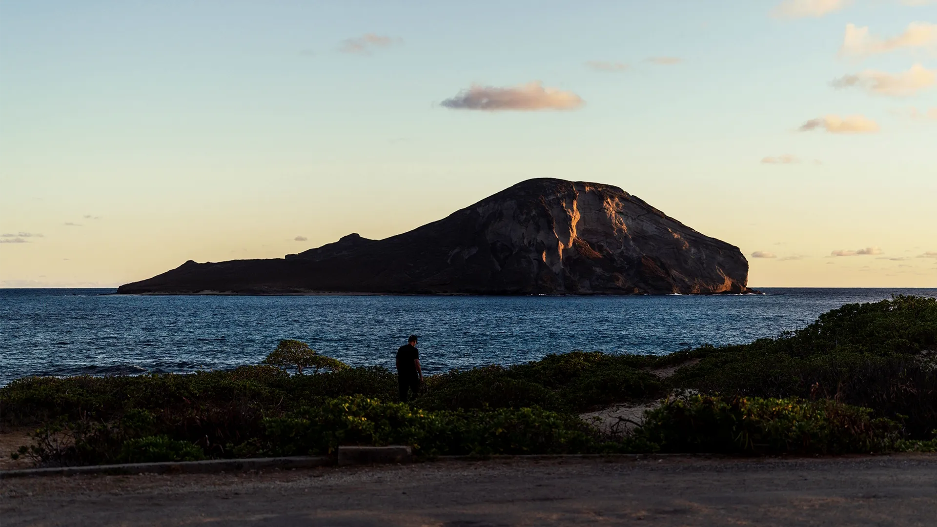 thumbnail - S8:E1 Hawaiian Night Fright