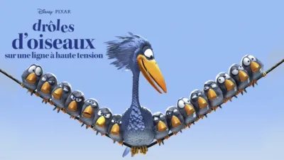 Drôles d'oiseaux sur une ligne à haute tension