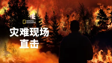 thumbnail - 灾难现场直击