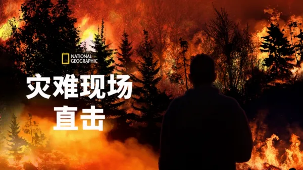 thumbnail - 灾难现场直击