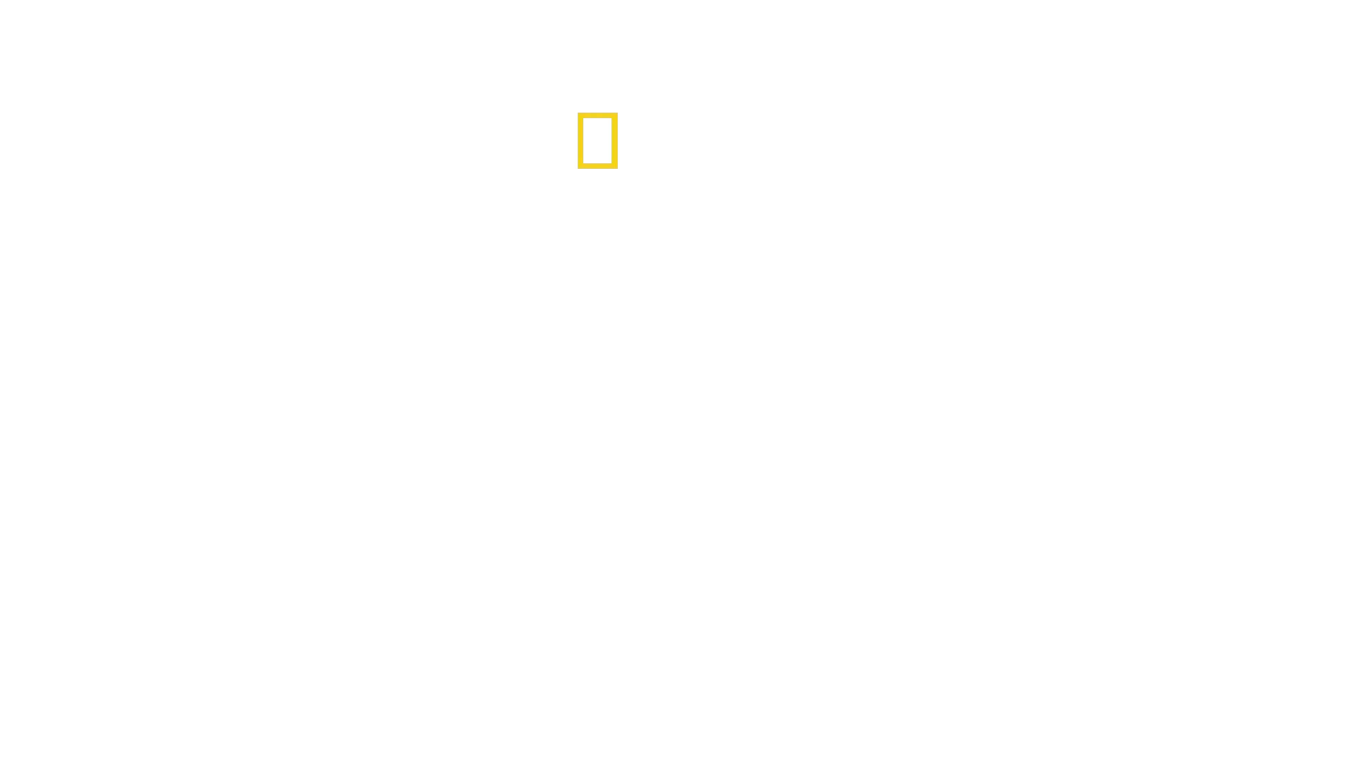 Mayday Spezial - Das Wunder vom Hudson River