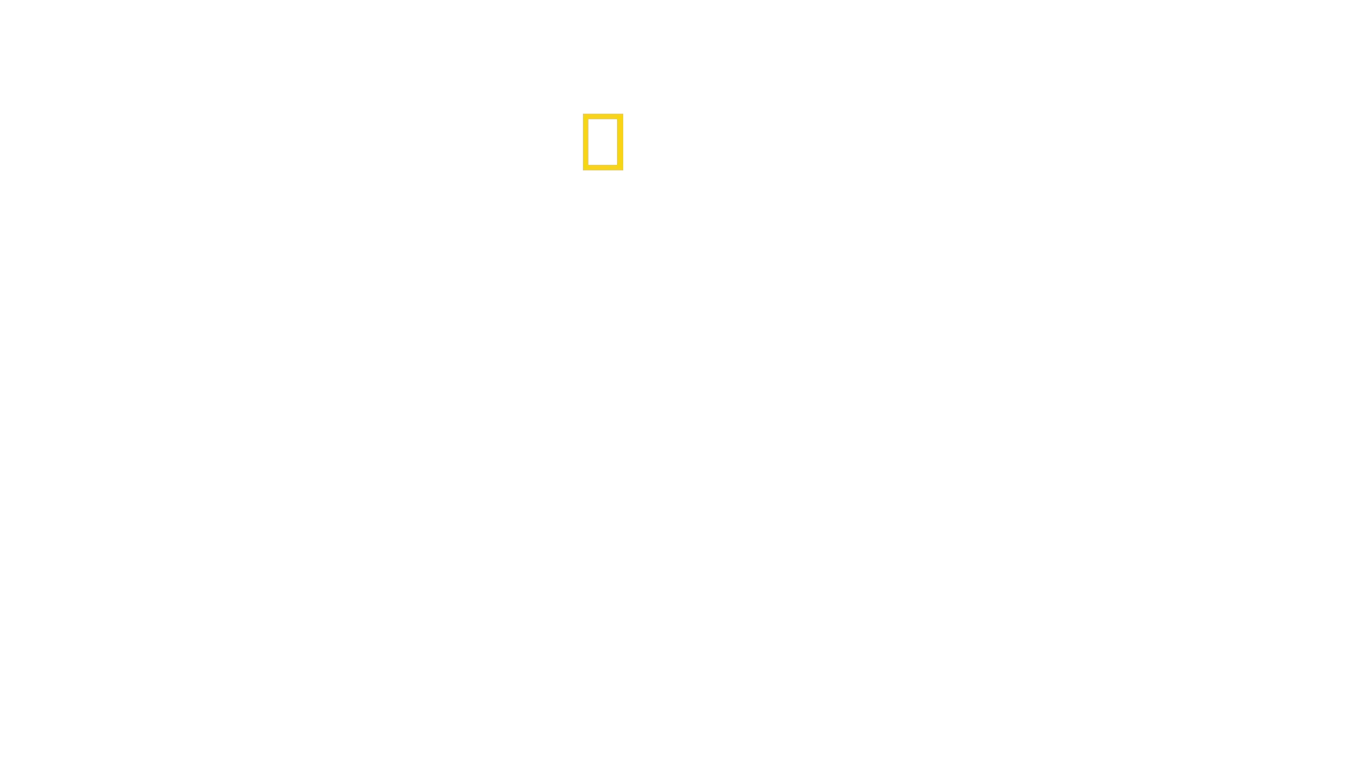 Mayday Spezial - Das Wunder vom Hudson River