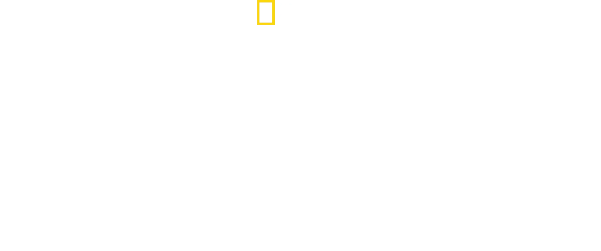 Mayday Spezial - Das Wunder vom Hudson River