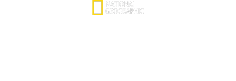 Continent 7: Antarctica