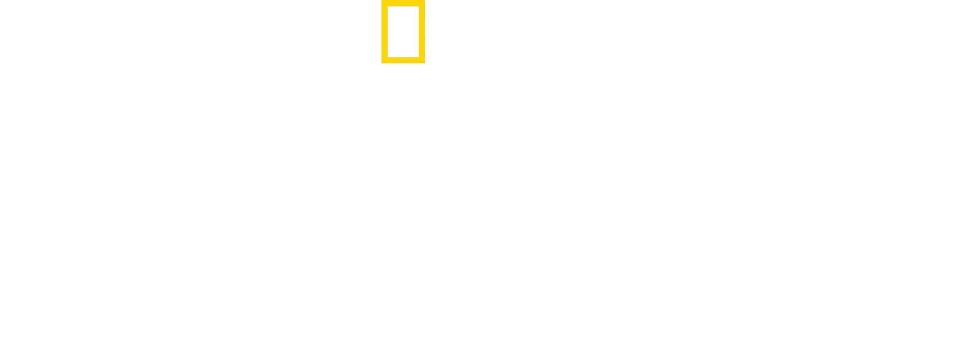 Antártida: El continente blanco